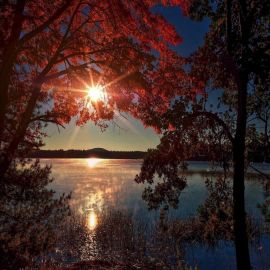 Осенний закат (61 фото)