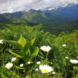Абхазия весной (98 фото)