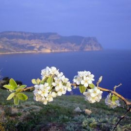 Крымская Весна (91 фото)