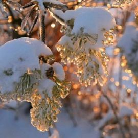 Первый день зимы (138 фото)