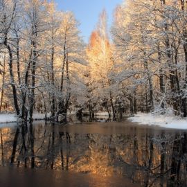 Ранняя зима (137 фото)
