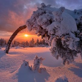 Зимнее солнцестояние (129 фото)