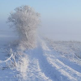 Ветер зимой (94 фото)