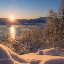 Зима солнце (27 фото)