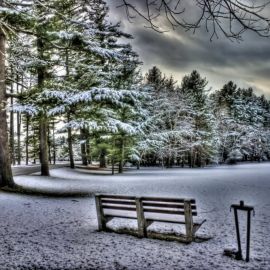 Зимний парк (30 фото)