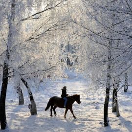 Зимняя прогулка (51 фото)