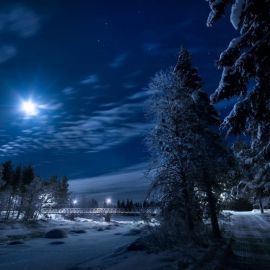 Зима ночь Луна (40 фото)