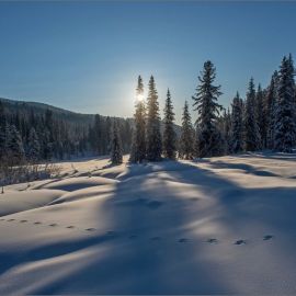 Ергаки зимой (49 фото)