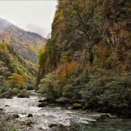 Река Гега Абхазия (79 фото)