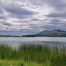 Белое озеро Гафурийский район (75 фото)