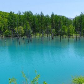Голубое озеро Воскресенский район (79 фото)