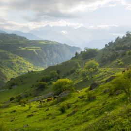 Северная Осетия Фиагдонское ущелье (66 фото)