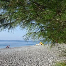 Пицунда пляж с белым песком (71 фото)