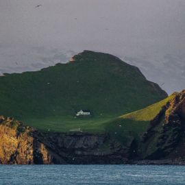 Сюртсей остров в Исландии (62 фото)