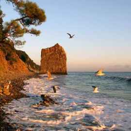 Черное море Геленджик (55 фото)