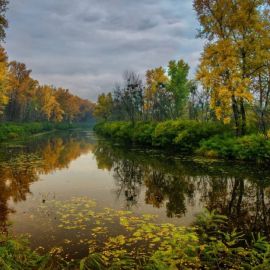 Осенний пейзаж с рекой (60 фото)