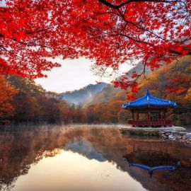 Осень в Корее (52 фото)