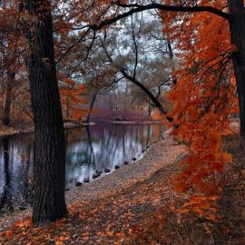 Поздняя осень пейзаж (58 фото)
