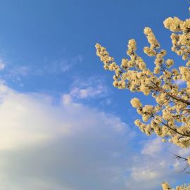 Небо весной (37 фото)