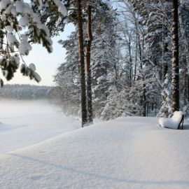Шуваловский парк зима (52 фото)