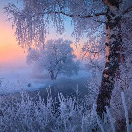Зимний утренний пейзаж (53 фото)