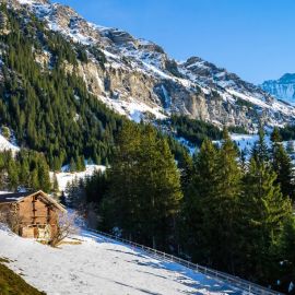 Швейцарские Альпы зимой (58 фото)