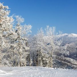Южно Сахалинск зима (55 фото)