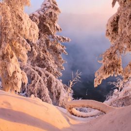 Декоративный зимний пейзаж (57 фото)