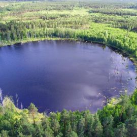 Смердячье озеро Шатурский район Московской области (57 фото)