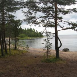 Снетковское озеро (59 фото)