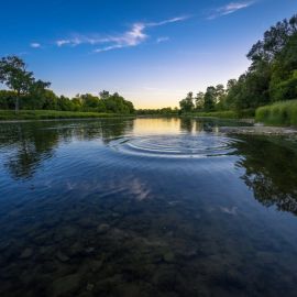 Река Вонча (56 фото)