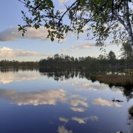 Заказник озеро Щучье (57 фото)