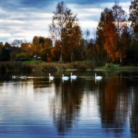 Черное озеро Покров (58 фото)
