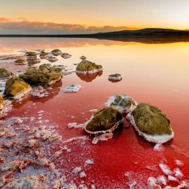 Кояшское розовое озеро в Крыму (58 фото)