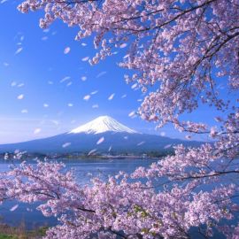 Красивые пейзажи Японии (49 фото)
