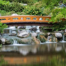 Японский сад в Куркино (55 фото)