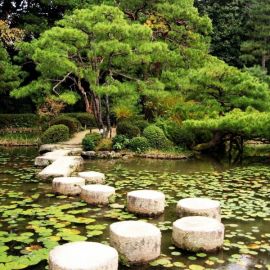 Сад камней в Киото (51 фото)