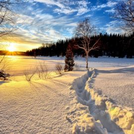 Зима утро солнце (57 фото)