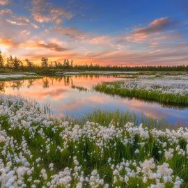 Пейзажи России весной (58 фото)