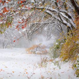 Осень первый снег (58 фото)