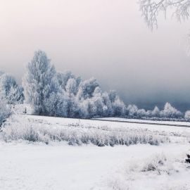 Пасмурный зимний день (54 фото)