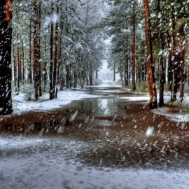 Дождливая зима (58 фото)