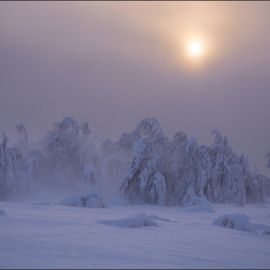 Буран зимой (52 фото)