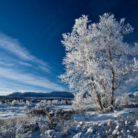 Голубое небо зимой (52 фото)