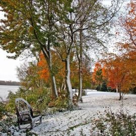 Поздняя осень начало зимы (55 фото)