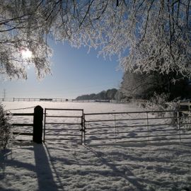 Грустная зима (55 фото)