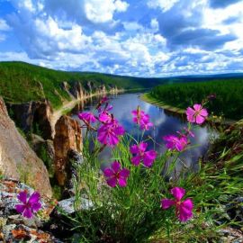 Лето в Забайкалье (58 фото)