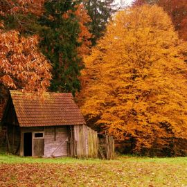 Дом в осеннем лесу (57 фото)
