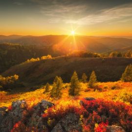 Природа осень солнце (50 фото)
