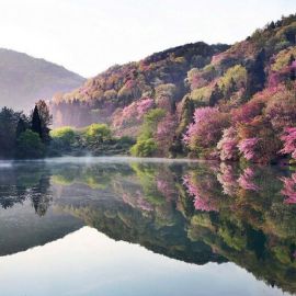 Южная Корея природа (54 фото)